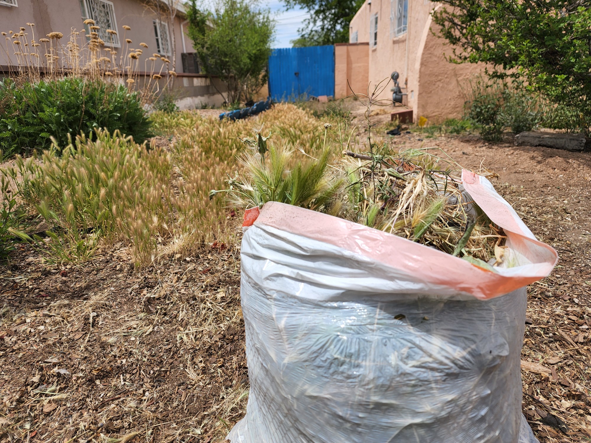 Gearing Up for Green Waste — City of Albuquerque